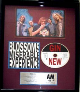 Gin Blossoms: New Miserable Experience in-house award