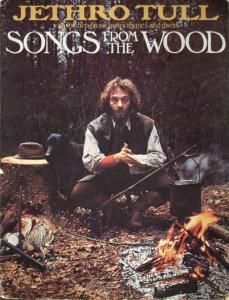 Almo Music: Songs From the Wood US music book