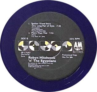 Robyn Hitchcock & the Egyptians: One Long Pair Of Eyes US 12-inch