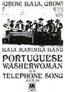 Baja Marimba Band Image