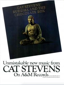 Cat Stevens Image