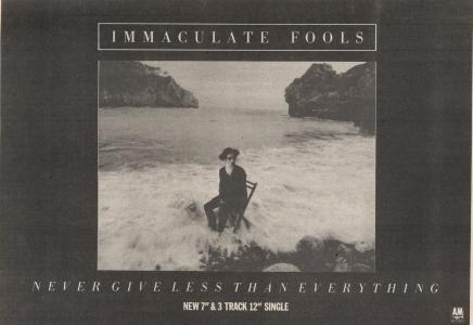 Immaculate Fools Image