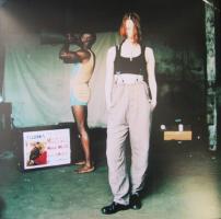 Suzanne Vega: 99.9F US promo poster