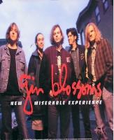 Gin Blossoms: New Miserable Experience U.S. poster