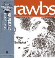 Strawbs: From the Witchwood Japan vinyl album