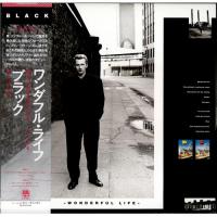 Black: Wonderful Life Japan vinyl album