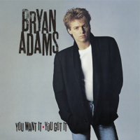Bryan Adams: You Want It You Got It Japan CD album