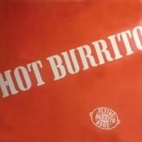 Flying Burrito Brothers: Hot Burrito U.S. promo vinyl album
