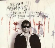 Bryan Adams: The Only Thing That Looks Good On Me Is You Britain CD single