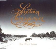 16 Horsepower: Coal Black Horses Britain CD single