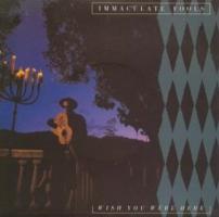 Immaculate Fools: Wish You Were Here Britain 7-inch