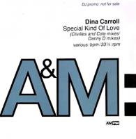 Dina Carroll: Special Kind of Love U.K. 12-inch