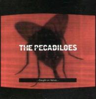 Pecadiloes: Caught On Venus U.k. CD single