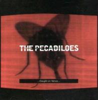 Pecadiloes: Caught On Venus Britain CD single