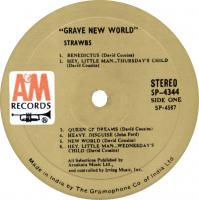 Strawbs: Grave New World India vinyl album