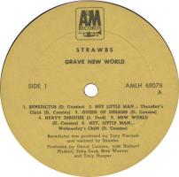 Strawbs: Grave New World Israel vinyl album