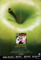 Suzanne Vega: Nine Objects Of Desire Japan ad