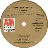 Strawbs: Grave New World Kenya vinyl album