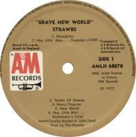 Strawbs: Grave New World Kenya vinyl album