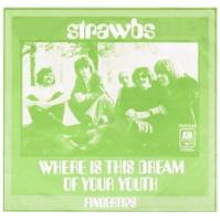 Strawbs: Where Is This Dream Of Your Youth? Netherlands 7-inch