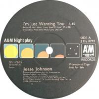 Jesse Johnson: I'm Just Wanting You US 12-inch