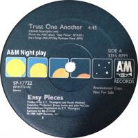 Easy Pieces: Trust One Another US 12-inch