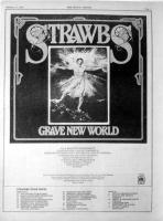 Strawbs: Grave New World Britain ad