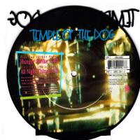 Temple of the Dog: Hunger Strike Britain 7-inch picture disc