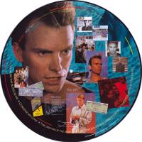 Sting: Dream Of the Blue Turtles Britain vinyl album picture disc