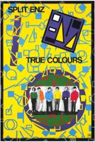 Split Enz: True Colors US promo poster