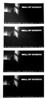 Wall of Voodoo self-titled US ad