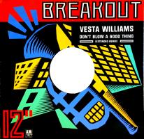 Vesta Williams: Don't Blow a Good Thing Britain 12-inch