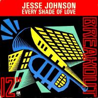 Jesse Johnson: Every Shade Of Love Britain 12-inch