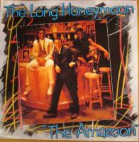 Long Honeymoon: The Amazon Britain 7-inch