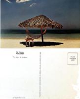 Cat Stevens: Foreigner US promotional postcard