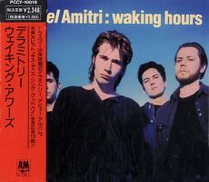 Del Amitri: Waking Hours Japan CD