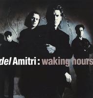 Del Amitri: Waking Hours Britain vinyl album