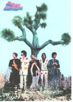Flying Burrito Brothers: Gilded Palace of Since U.K. poster from first album pressing