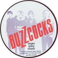 Buzzcocks: Singles Going Steady US promo pin