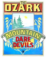 Ozark Mountain Daredevils self-titled album US promo poster