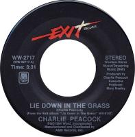 Charlie Peacock: Lie Down In the Grass US 7-inch