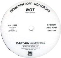 Captain Sensible: Wot US promo 12-inch
