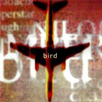 Nilon Bombers: Bird Britain CD album