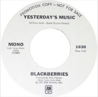 Blackberries: Yesterday's Music US promo 7-inch