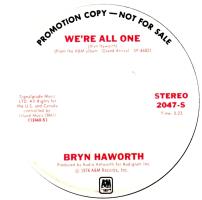 Bryn Haworth: We're All One US promo 7-inch
