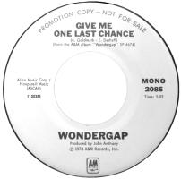 Wondergap: Give Me One Last Chance US promo 7-inch