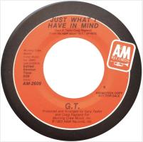 Gary Taylor: Just What I Have In Mind US promo 7-inch