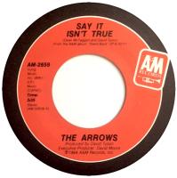 Arrows: Say It Isn't True US 7-inch