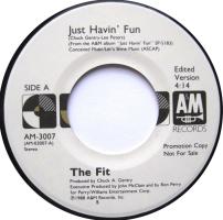 Fit: Just Havin' Fun US promo 7-inch