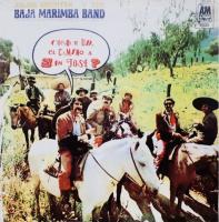 Baja Marimba Band: Do You Know the Way to San Jose Argentina vinyl album